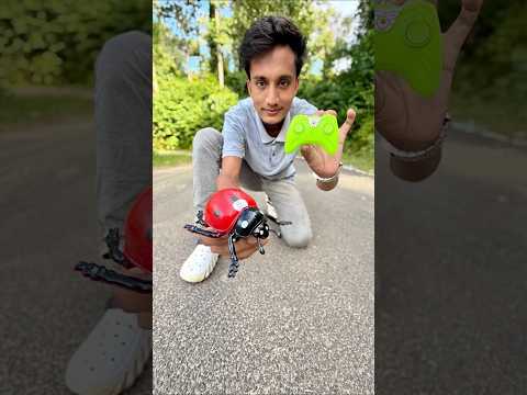 Remote Wla Papo Ladybird Dekhlo #shortsfeed