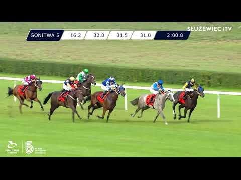 28.08.2021 (D30; G5; Tor: 3,5; 18°C) Nagroda SK Krasne - L (kat.A)