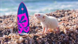 jewel  hands ( christmas version )