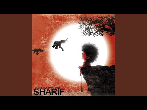 Triste Canción De Amor