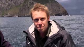 The Wild life of Tim Faulkner compile