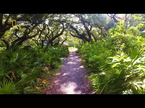 Ta rajska wyspa skrywa koszmarną przeszłość! [Porzucone konstrukcje]