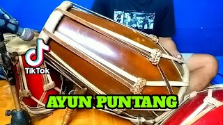 Download lagu AYUN PUNTANG KOPLO COVER KENDANG RAMPAK mp3