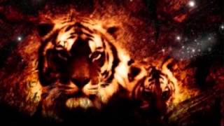 THE UNDISPUTED TRUTH ... I'M FOOL FOR YOU ....