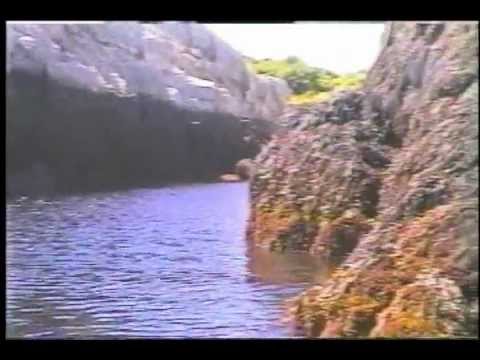 Appledore Island - Golden Girl Point Video 1
