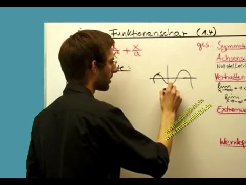 Kurvenschar/ Funktionenschar Exstremstellen 1.4