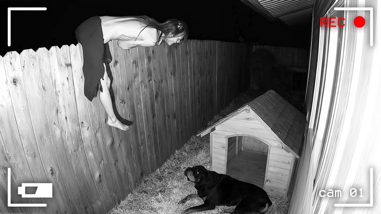 Caught in 4K! Funniest Security Camera Fails