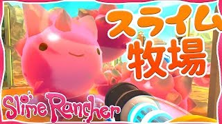 スライムランチャー #7 牧場の施設を便利に♪【Slime Rancher】