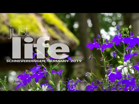 SCHNEVERDINGEN, GERMANY - PLACES BY PATRIK FALK 4K - JULI 2019