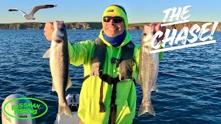 Download lagu Memancing Ikan BASS | Ikuti Burung-Temukan IKAN! mp3 Download lagu Memancing Ikan BASS | Ikuti Burung-Temukan IKAN! mp3