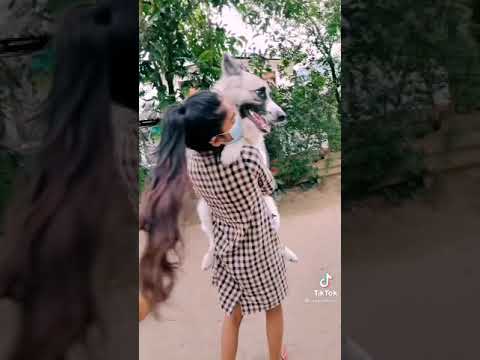 බව්වාගේ හුරතලේ | Hitha Badi Snehawanthi Nuba