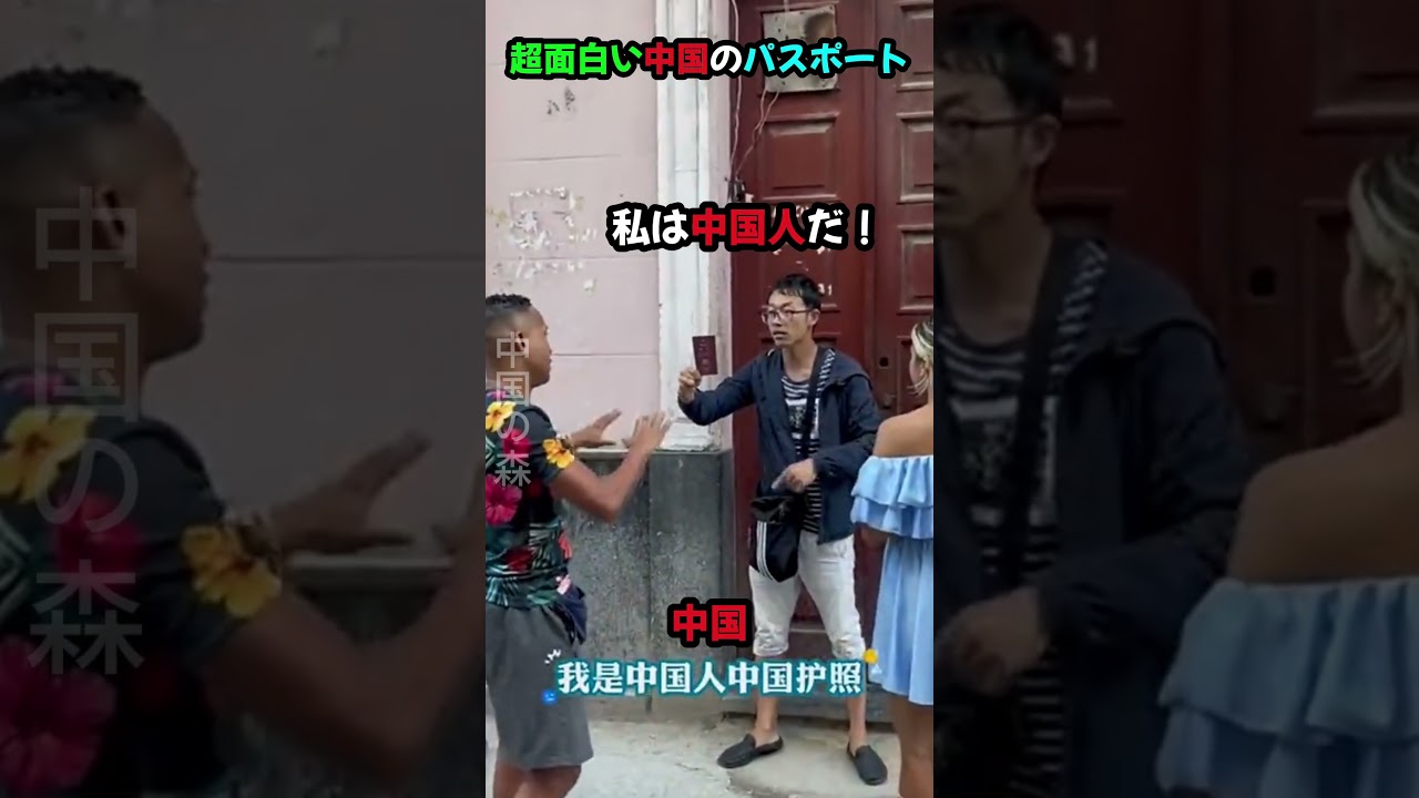 超面白い中国のパスポート