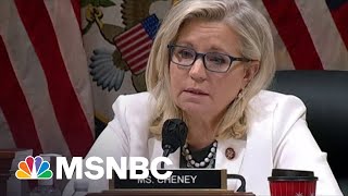Cheney Speaks To Trump Supporters In Hearing Closing Statement