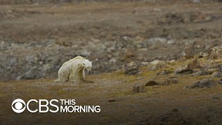 Million animals, plants at risk of extinction due to human activities, U.N. report says gameplay video by crystallee, 3:25 duration