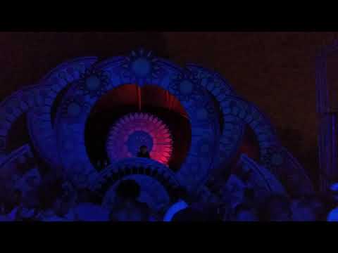 RICA AMARAL - PSYCHEDELIC SOUL 2019