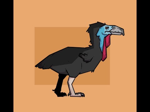 Cenozoic Spotlight #7 // Terror Birds