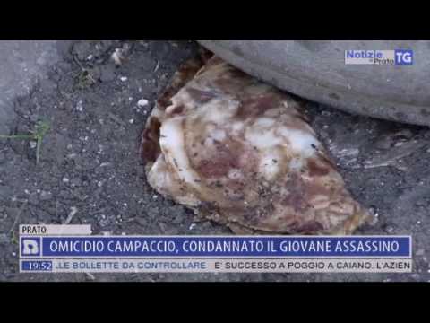 2017-07-31 NOTIZIE DI PRATO TG ORE 19.45