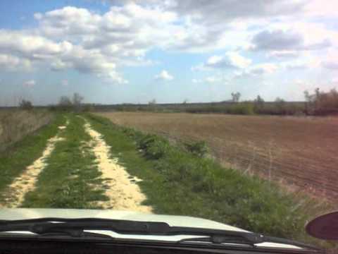 fratilesti [digu de protectie]