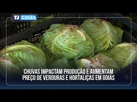 CHUVAS IMPACTAM PRODUÇÃO E AUMENTAM PREÇO DE VERDURAS E HORTALIÇAS EM GOIÁS