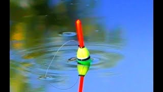 С удочкой фото