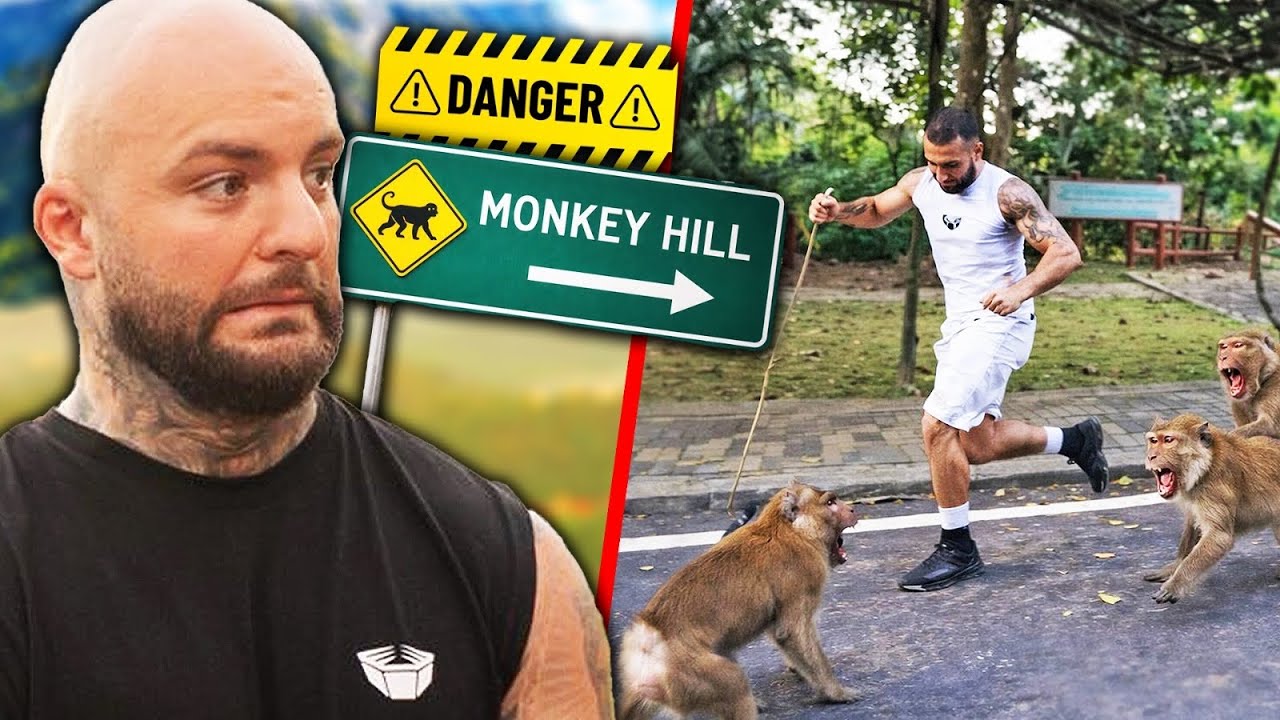 Die Affen in Thailand verstehen keinen Spaß.. RINGLIFE