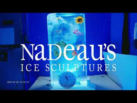 Ice Sculpture Freeze-in - Melting Timelapse