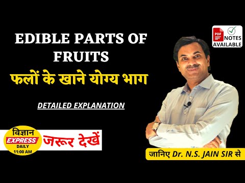 Edible Parts of Fruits (Detailed Explanation) - Vigyan Express #173 | DR. N.S. JAIN
