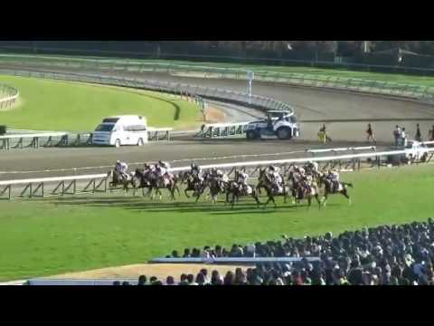 2016.12.25.ホープフルS.レイデオロ