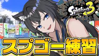 【スプラ3】スプゴ―練習！今日も頑張るぞ！【#Vtuber】【#スプラ3】