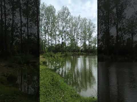 
Terrain de loisirs avec étang sur Marcillé-Raoul (35)
 - Video 