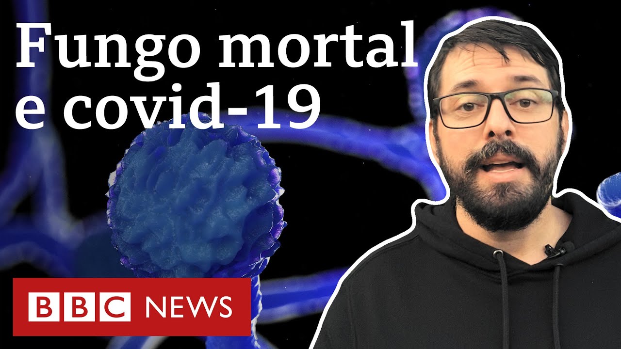 Mucormicose: 5 perguntas sobre a rara infecção conhecida como 'fungo negro', ligada à covid-19
