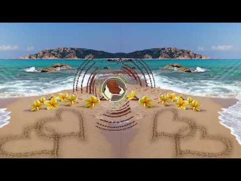 MARKUS P - Hula Ula [BASS BOOSTED]