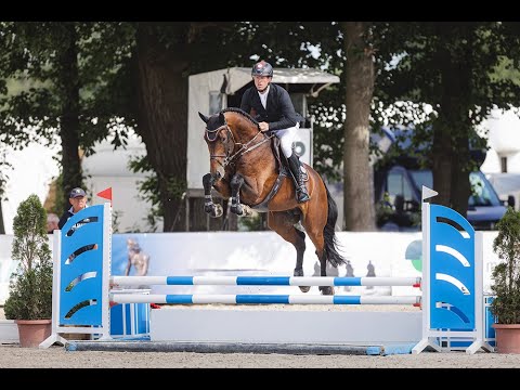 Diamant de Plaisir II *2017 by Diamant de Semilly x For Pleasure