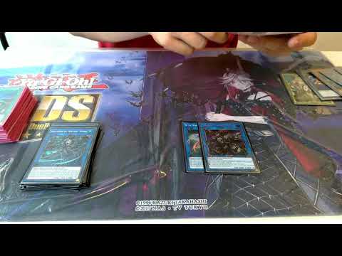 LLDS Torino : 2° Place Crociatia Deck Profile