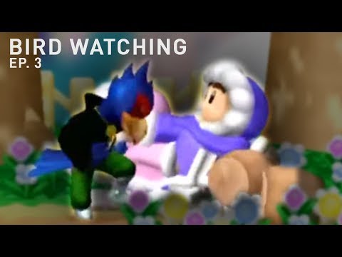 Bird Watching Ep. 3 - Solving the IC's Matchup