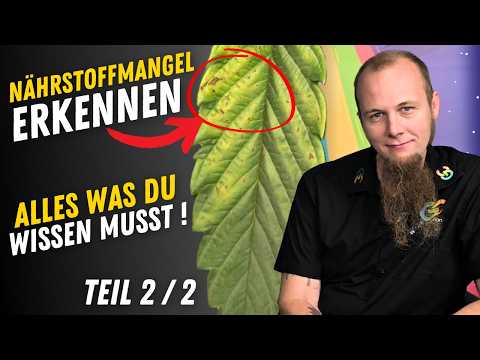 Nährstoffmangel und Calmag Problem erkennen Tipps  - Wie werde ich ein besserer Grower Teil 2/2