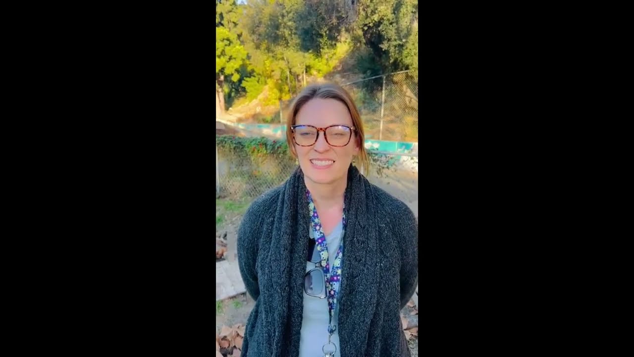 video testimonial about Terri Allen