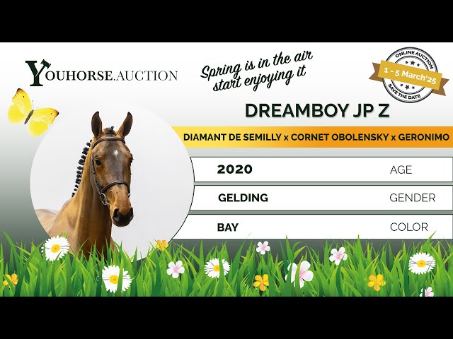 Dreamboy JP Z