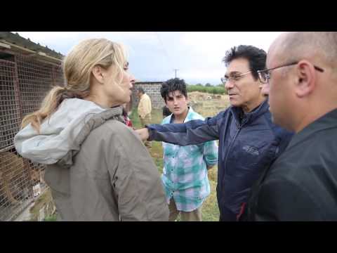 Shani and Andy visit an Centaur  in Armenia