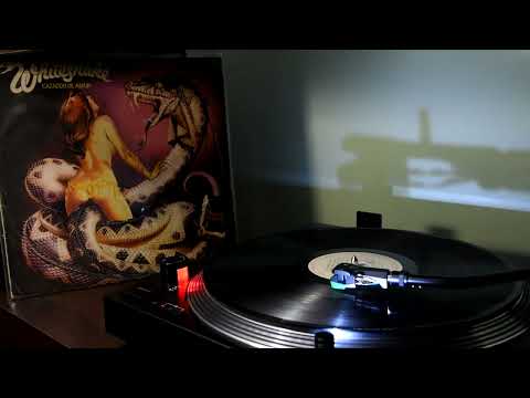 Whitesnake - You n´ me (vinyl RIP)