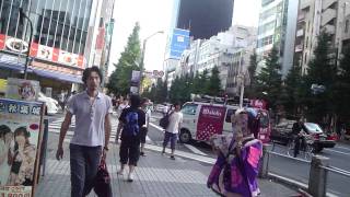 Just Walking Down The Street In Akihabara Japan