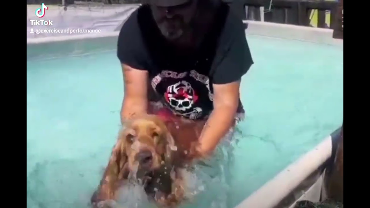 Centro Cinofilo thumbnail