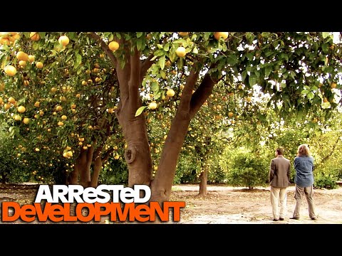 Michael Buys WORTHLESS Land - Arrested Development