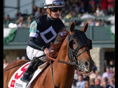 Belmont New Shooters:Sir Winston