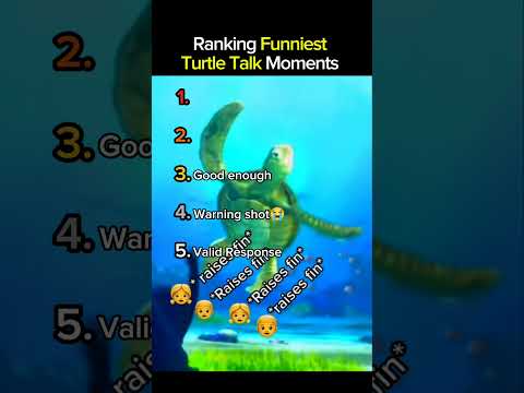 Ranking Funniest Turtle Talk Moments Part 4