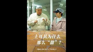 来学技术了！土耳其代表甜品“巴克拉瓦”后厨制作大揭秘。#地球之极侣行 #地球之极侣行第十季 #侣行 #张昕宇梁红