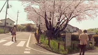 Download lagu kimi ni todoke movie - characters voice version mp3 Download lagu kimi ni todoke movie - characters voice version mp3