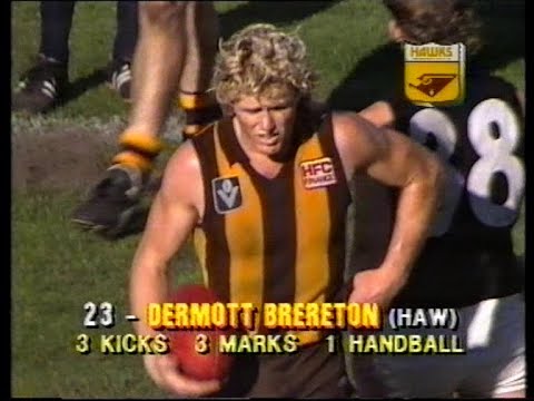 1987 VFL Grand Final Carlton Blues Vs Hawthorn Hawks