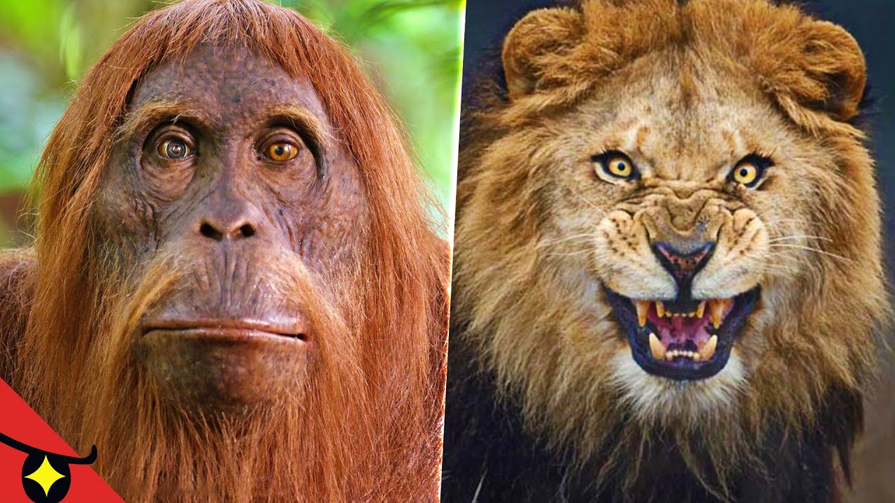 6 SECRETS (sombres) des DOCU' ANIMALIERS 🦁