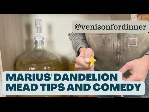Marius' Dandelion Mead Tips and Comedy Hour